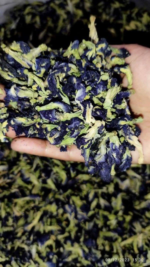 Blue Tea-Grade A Butterfly Pea Flower Tea, 100% Natural organic Tea 100Gm. (350 Cup Tea) - Image 4